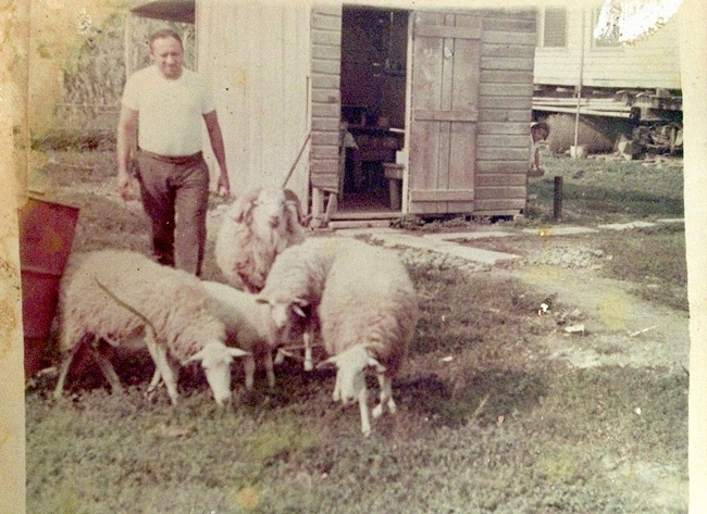 Abuelito and his sheep at Campo Cazenave